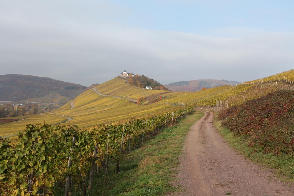 Weingut Pension Gibbert-Pohl Briedel Dış mekan fotoğraf