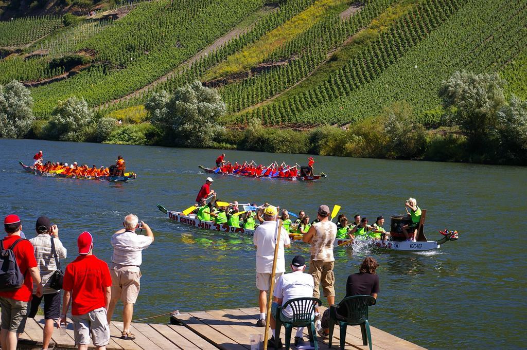 Weingut Pension Gibbert-Pohl Briedel Dış mekan fotoğraf