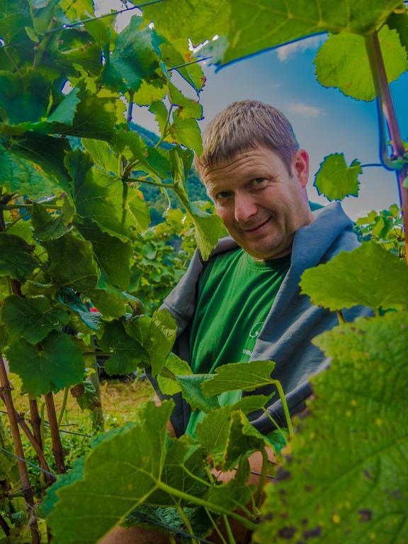 Weingut Pension Gibbert-Pohl Briedel Dış mekan fotoğraf